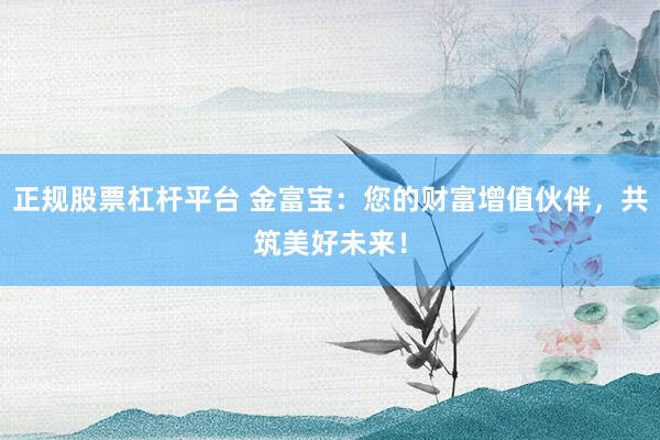 正规股票杠杆平台 金富宝：您的财富增值伙伴，共筑美好未来！