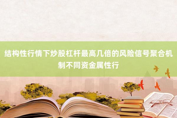 结构性行情下炒股杠杆最高几倍的风险信号聚合机制不同资金属性行