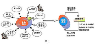 人力资源服务外包的基本内容