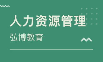 合肥花冲公园人力资源管理师培训班哪家好 人力资源管理师培训班哪家好 人力资源管理师培训课程排名 淘学培训