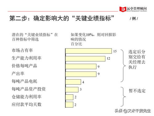 知名咨询公司客户案例 100页人力资源管理的全面提升,系统完整